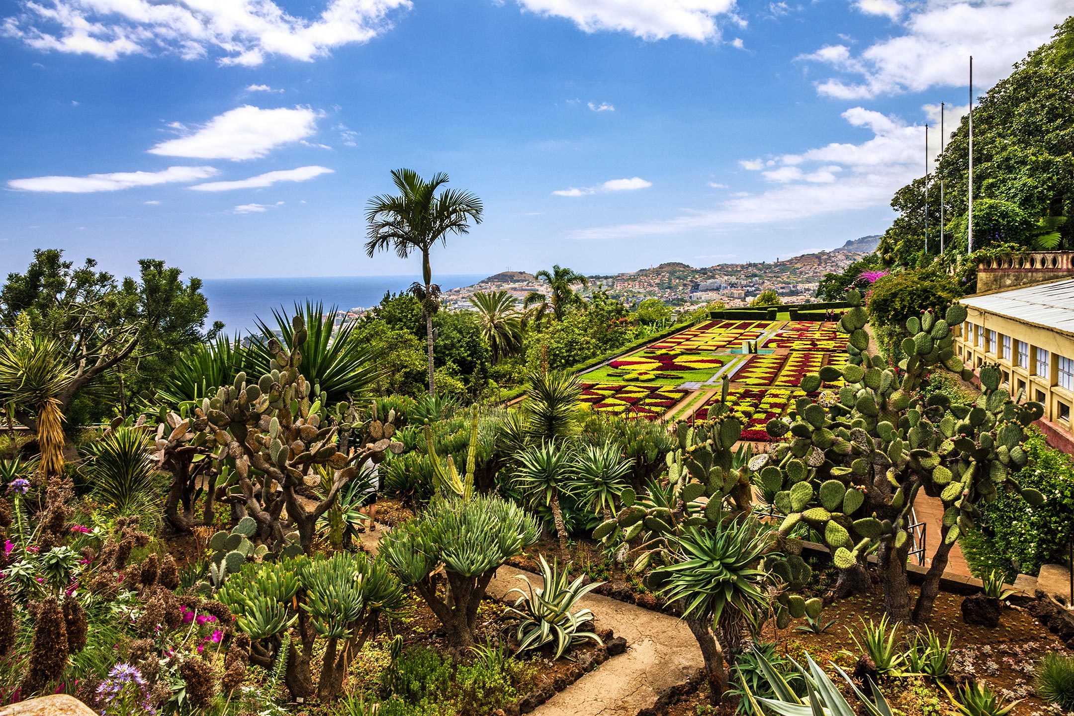 Naturerlebnisse auf Madeira — Reiseziele.plus